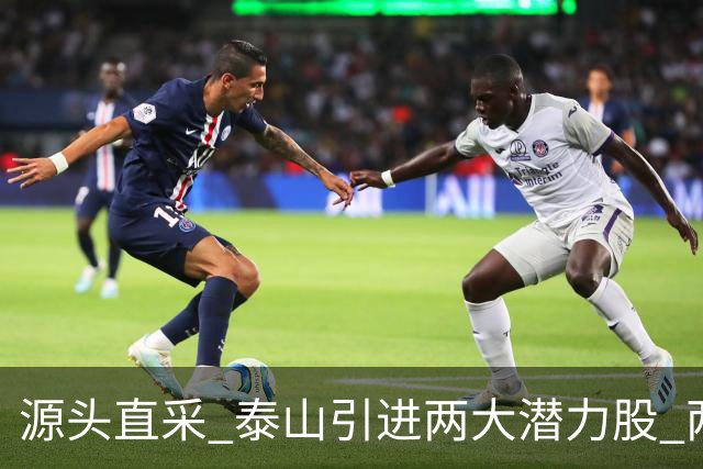 源头直采 泰山引进两大潜力股 两外援抵达济南